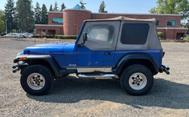 Jeep-wrangler-sport-1992-blue-1