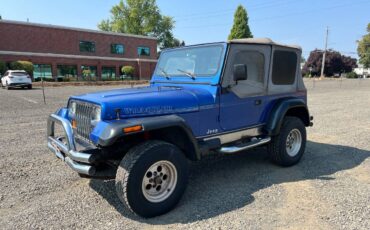 Jeep-wrangler-sport-1992-blue