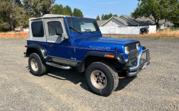 Jeep-wrangler-sport-1992-blue-4