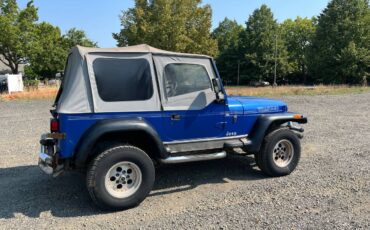 Jeep-wrangler-sport-1992-blue-5