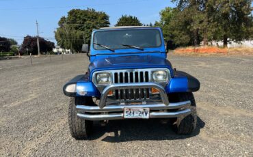 Jeep-wrangler-sport-1992-blue-6