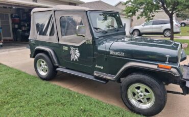 Jeep-wrangler-sport-1993-green-3