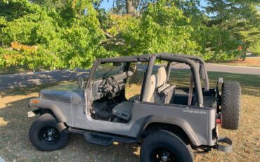 Jeep-wrangler-sport-1994-grey-1