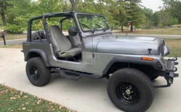 Jeep-wrangler-sport-1994-grey-2