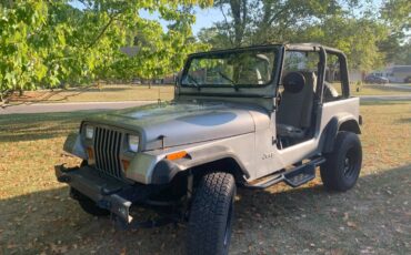 Jeep-wrangler-sport-1994-grey