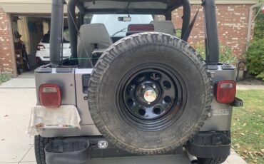 Jeep-wrangler-sport-1994-grey-7
