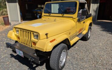 Jeep-wrangler-sport-islander-1989-yellow-12