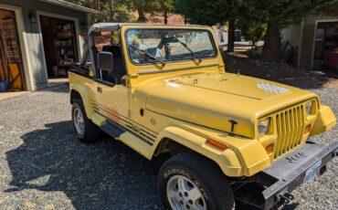Jeep-wrangler-sport-islander-1989-yellow-13