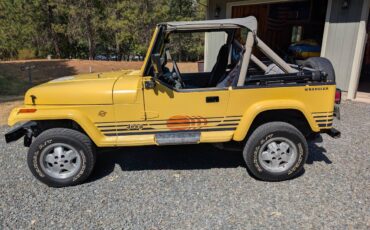 Jeep-wrangler-sport-islander-1989-yellow-14