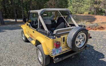 Jeep-wrangler-sport-islander-1989-yellow-15