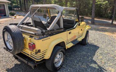 Jeep-wrangler-sport-islander-1989-yellow-16