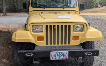 Jeep-wrangler-sport-islander-1989-yellow-19