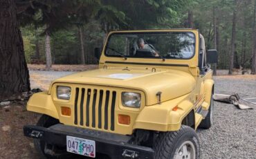 Jeep-wrangler-sport-islander-1989-yellow-20