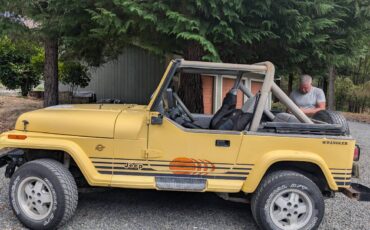 Jeep-wrangler-sport-islander-1989-yellow-23