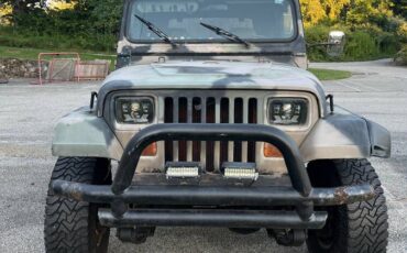 Jeep-wrangler-sw-1991-1
