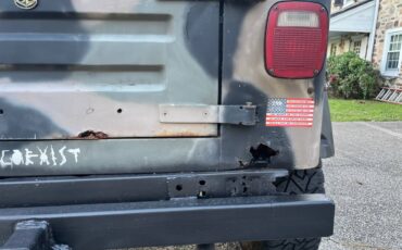 Jeep-wrangler-sw-1991-10