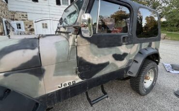 Jeep-wrangler-sw-1991-14