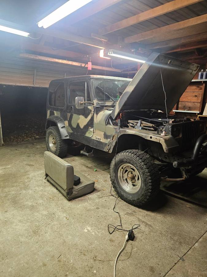 Jeep-wrangler-sw-1991-18