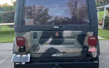 Jeep-wrangler-sw-1991-3