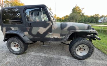 Jeep-wrangler-sw-1991-5