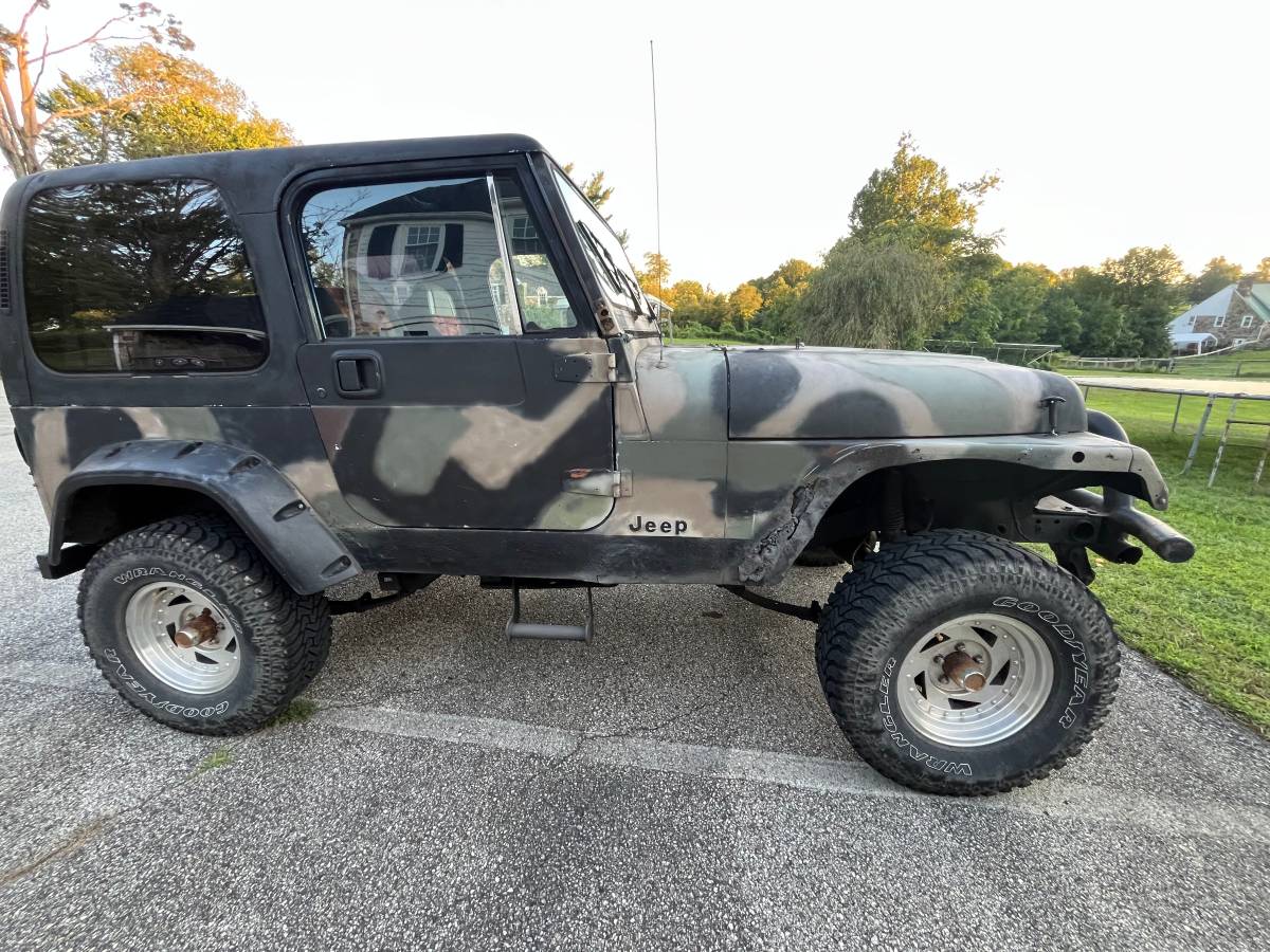 Jeep-wrangler-sw-1991-5