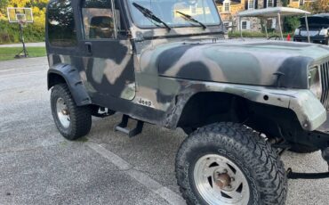 Jeep-wrangler-sw-1991-8