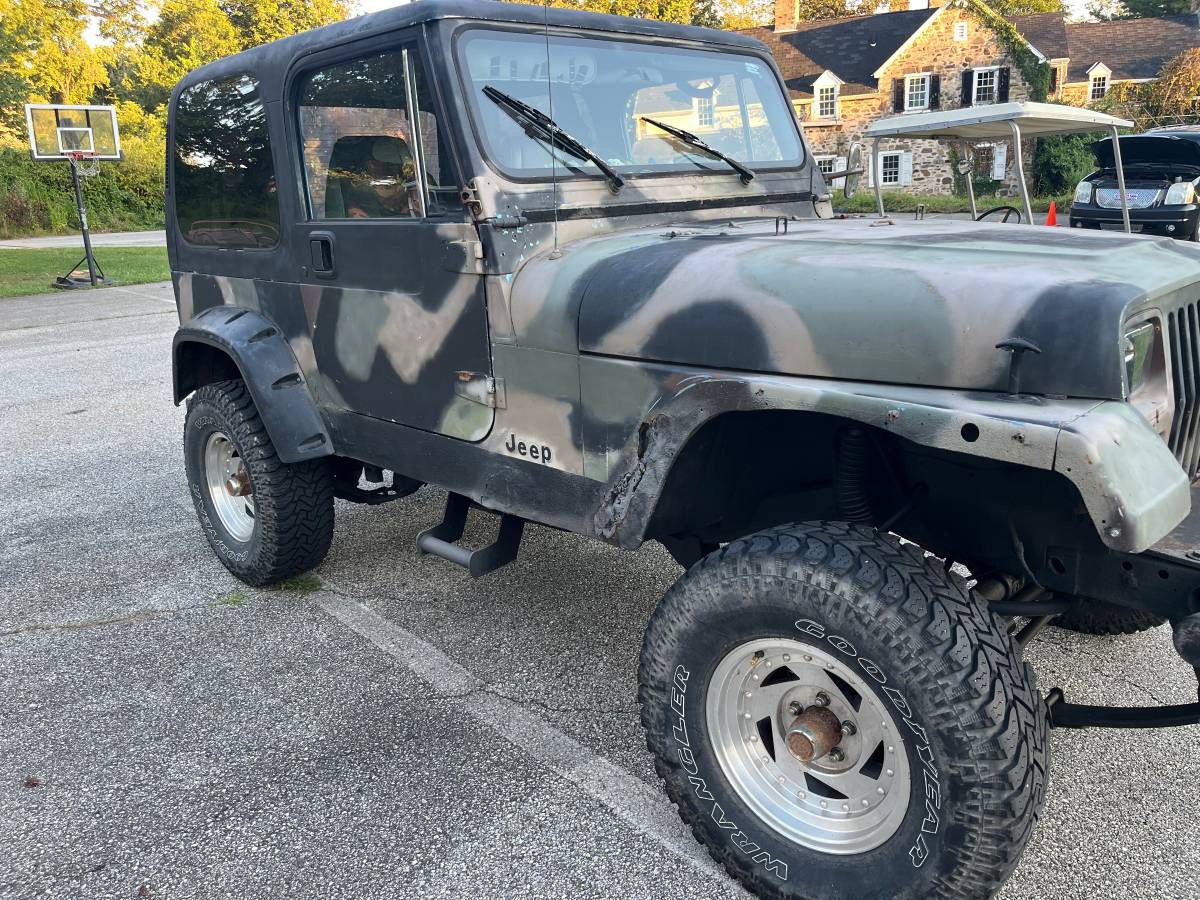 Jeep-wrangler-sw-1991-8