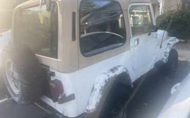 Jeep-wrangler-unlimited-sahara-1991-white-1