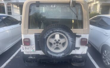 Jeep-wrangler-unlimited-sahara-1991-white-3