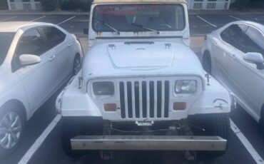 Jeep-wrangler-unlimited-sahara-1991-white