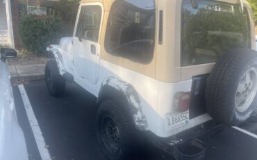 Jeep-wrangler-unlimited-sahara-1991-white-4