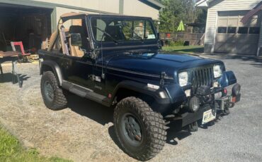 Jeep-wrangler-yj-1991-blue-6