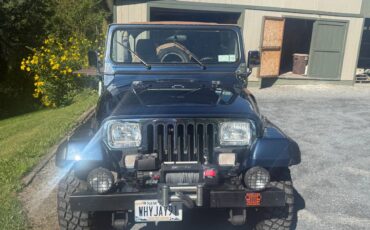 Jeep-wrangler-yj-1991-blue-8