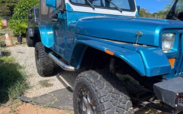 Jeep-wrangler-yj-1995-custom-2