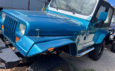 Jeep-wrangler-yj-1995-custom