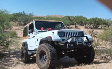 Jeep-yj-1991-white