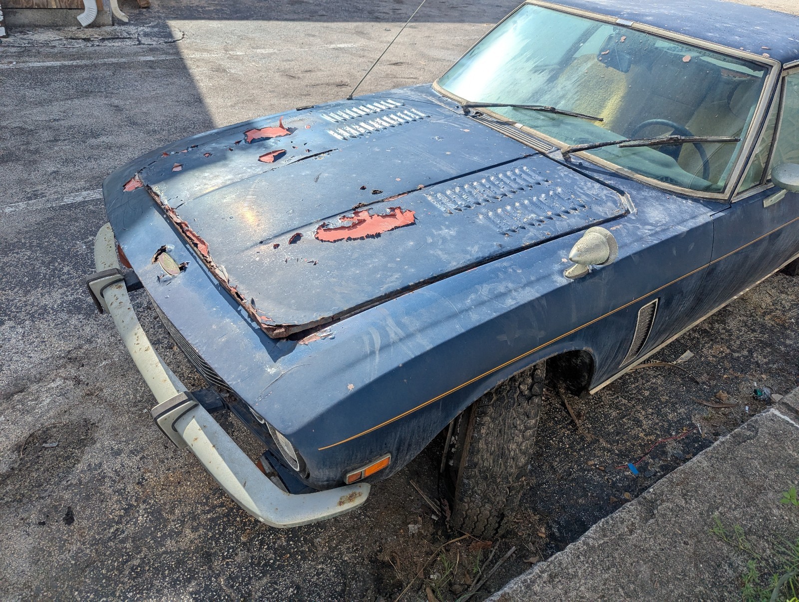 Jensen-Interceptor-Mk-III-1974-22