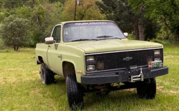 K10-1985-green-4