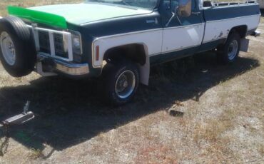 K10-chevy-scottsdale-1977-3