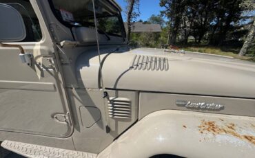 Landcruiser-fj-40-1979-brown-13