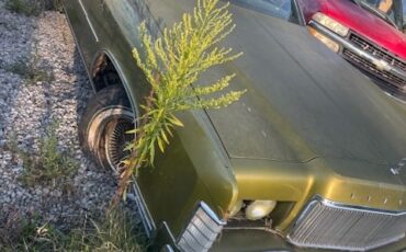Lincoln-Continental-1974-Coupe-24