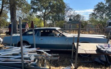 Lincoln-mark-iv-1973-blue-4
