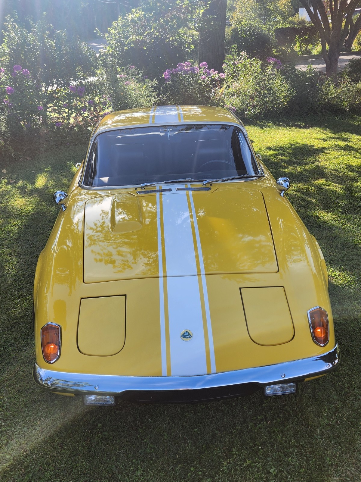 Lotus-Elan-2-1971-Coupe-2