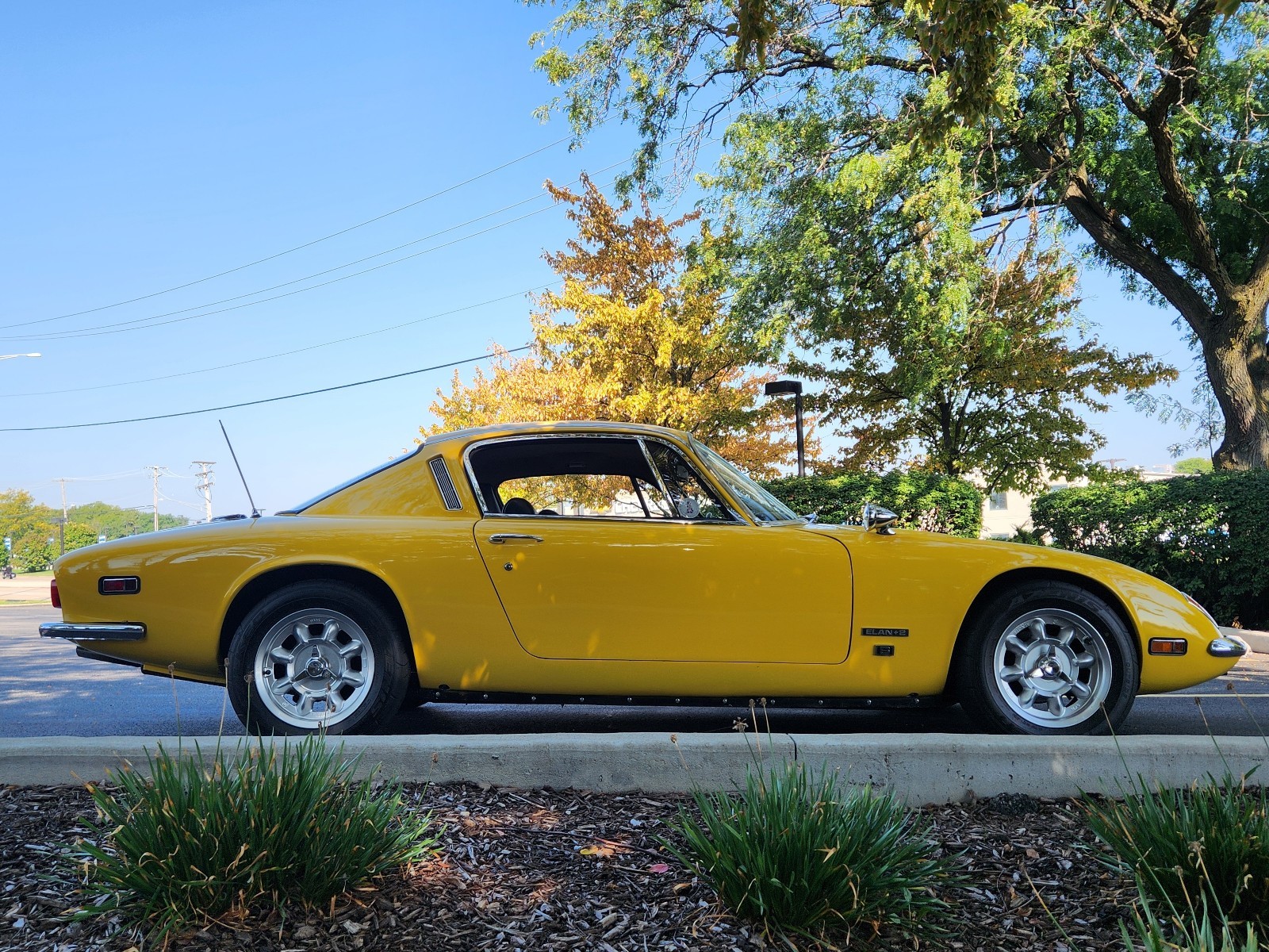 Lotus-Elan-2-1971-Coupe-38