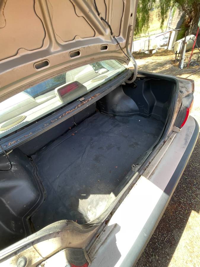 Mazda-protege-1994-brown-16