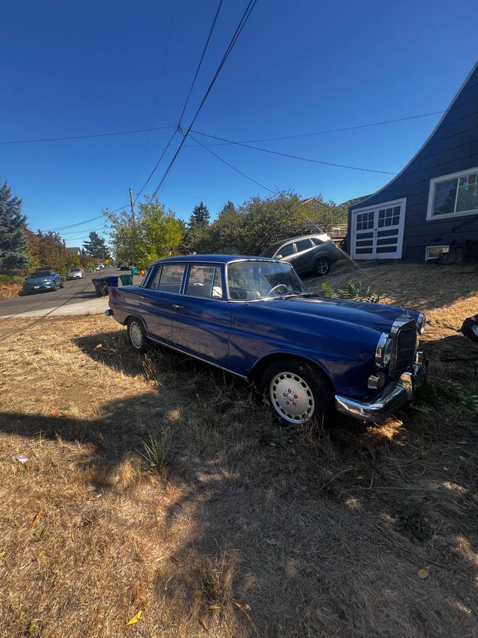 Mercedes-110-chassis-diesel-1965-blue-1