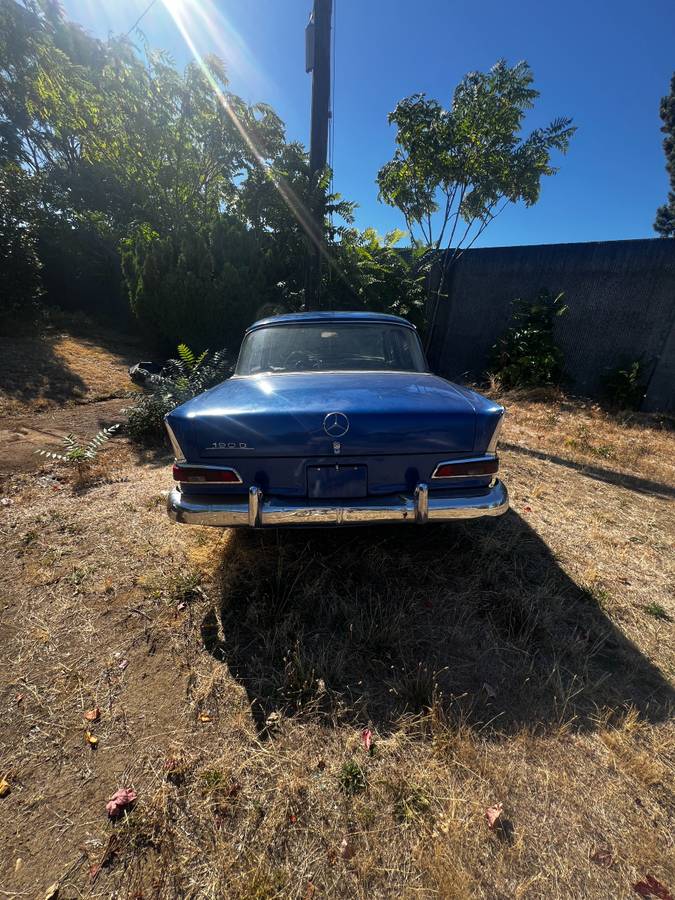 Mercedes-110-chassis-diesel-1965-blue-2