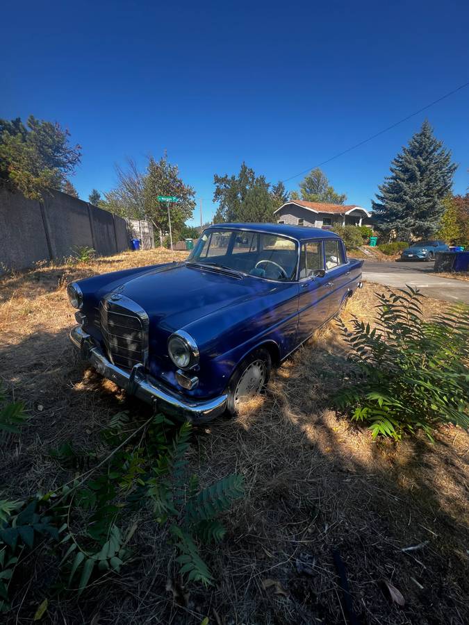 Mercedes-110-chassis-diesel-1965-blue-7