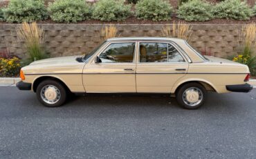 Mercedes-240d-diesel-1980-white-1