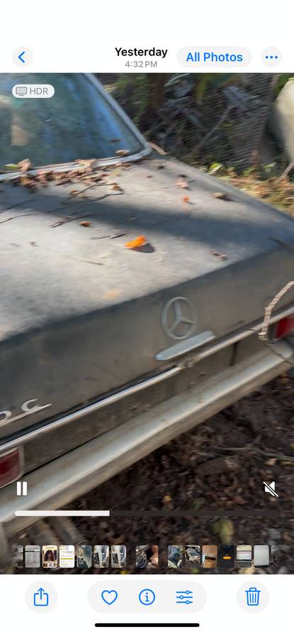 Mercedes-250c-1971-5
